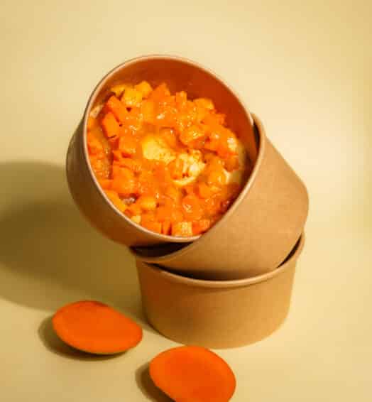 MANGO OVERLOAD ICECREAM TUB
